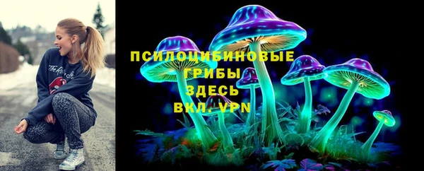 спиды Пересвет