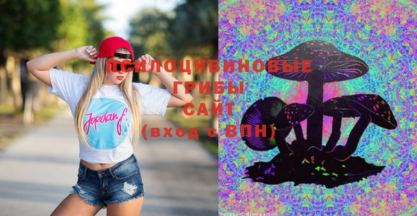 МДПВ Абинск